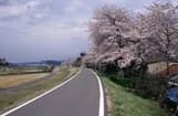 白石川緑地公園