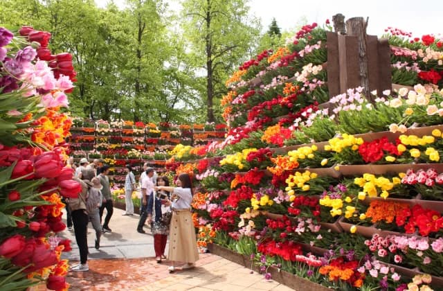 Tonami Tulip Fair