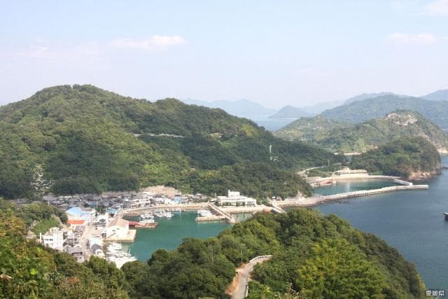 ナガタニ展望台