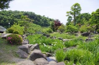 Kanmuriyama General Park / Shobu 3