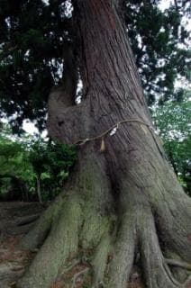 Yasushi Osugi of Yasuda