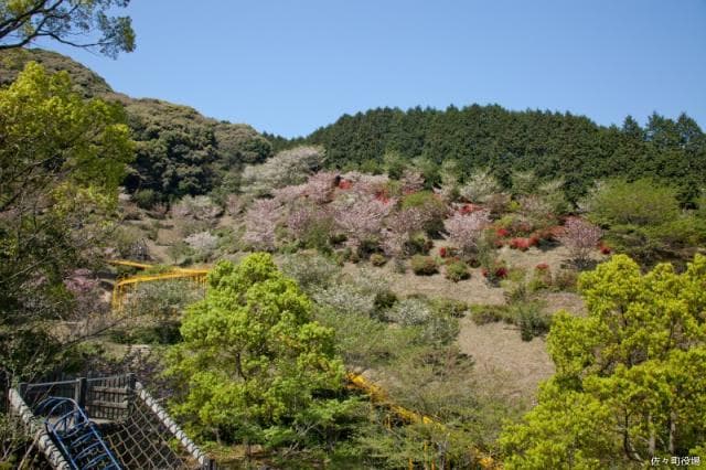 皿山公園