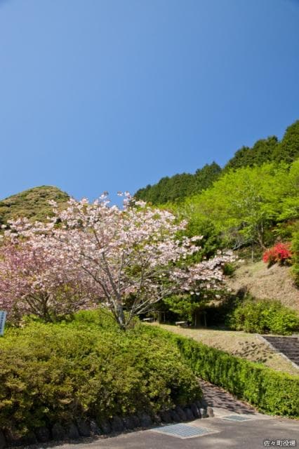 皿山公園