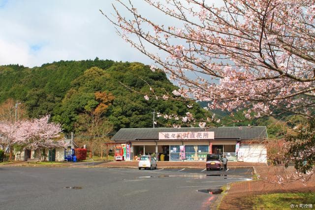 皿山直売所