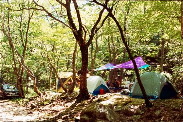 Ikoinomori Campsite