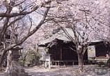 Kosho-ji Temple Yakushi-do Hall
