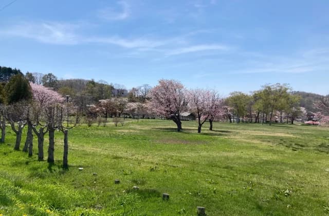 Shinonome Park