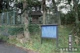 球状閃緑岩(菊面石)