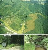 Kogane Yamasan Gold Site