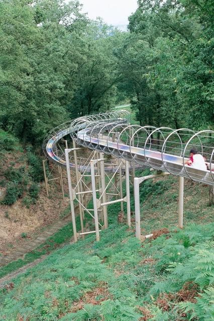 The Forest of Dreams