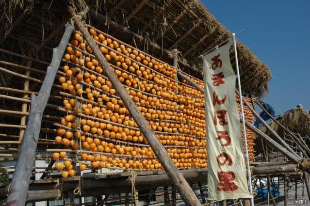 Nikko-ji Temple, Maibara City, Amabo no Sato