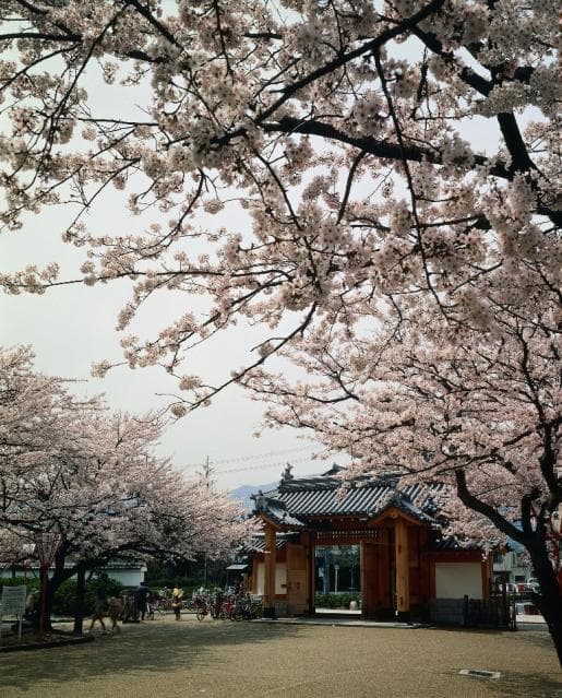 Zensho Castle Ruins Park