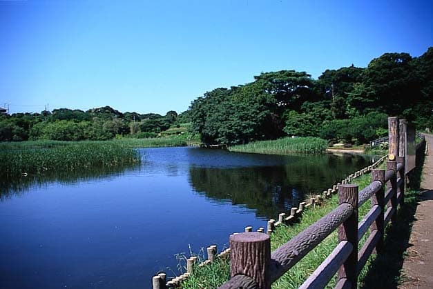 小松ケ池