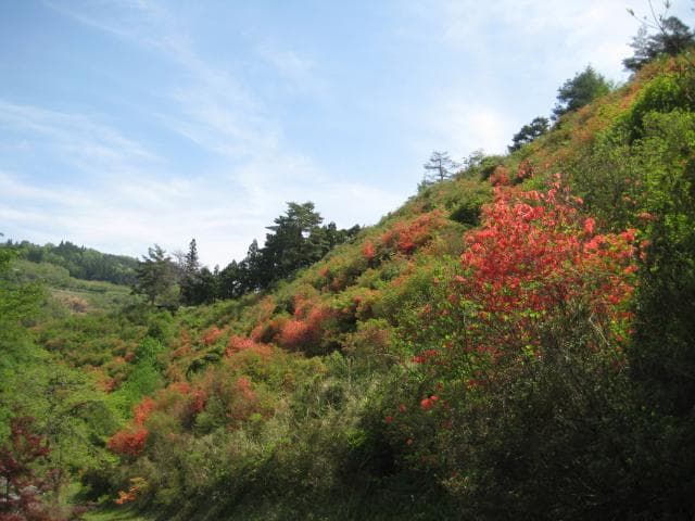 Kotohira Park