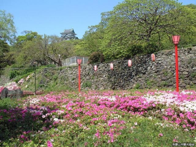 Azalea