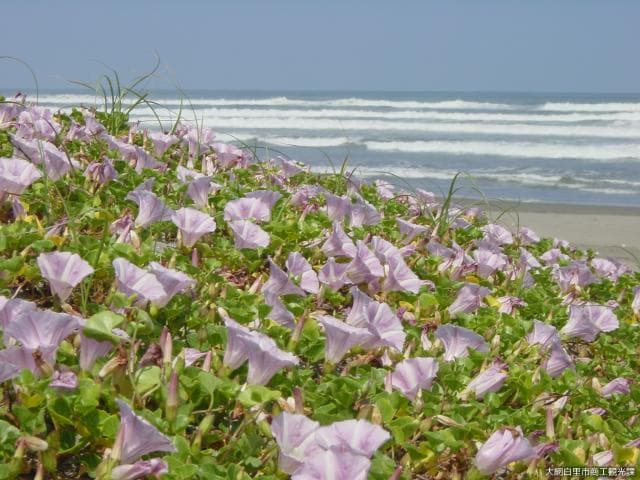 Shirasato Beach