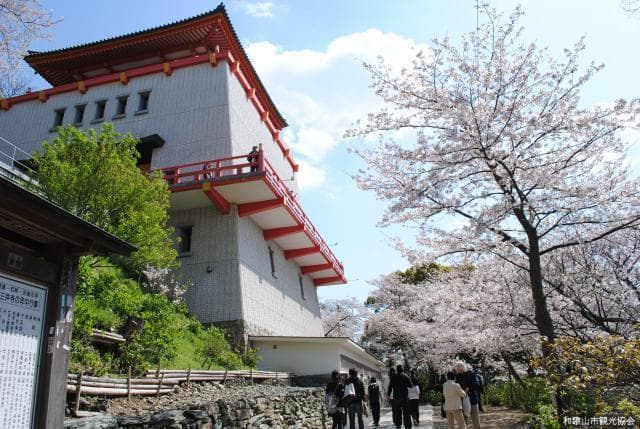 紀三井寺の桜