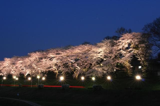 Canal Waterside Park (Light Up)