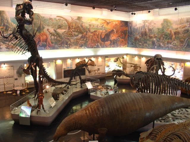 Takigawa City Art and Natural History Museum