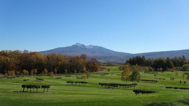 Gangnam Park Golf Course