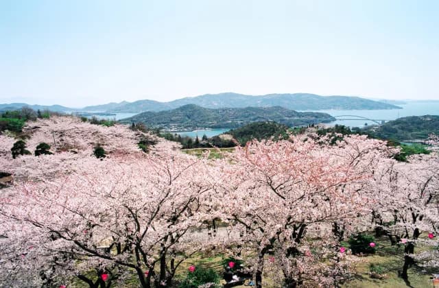 開山公園