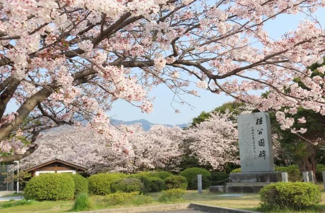 Katsura Park