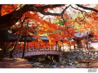 Butsu-ji Temple