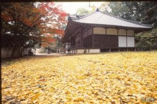 Butsu-ji Temple