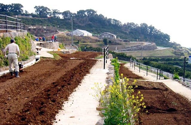 Kusamakura Observation Farm