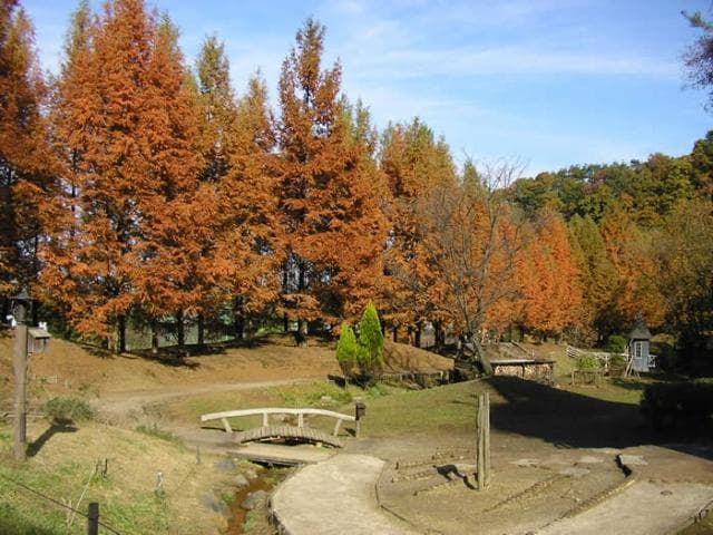 Autumn Akebono Children's Forest Park