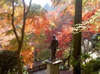 The statue of Marshal Togo and the autumn leaves
