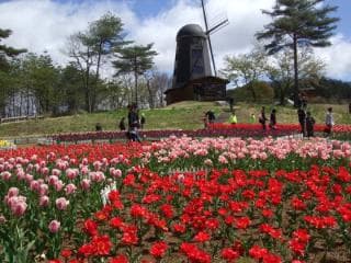 Yukitani River Dam Forest Park Light Rice