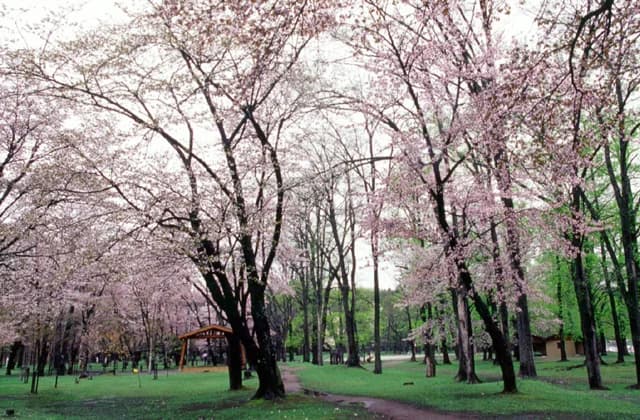 Kaguraoka Park
