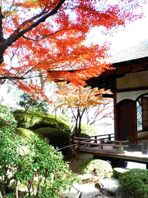 鳶魚閣(えんぎょかく)