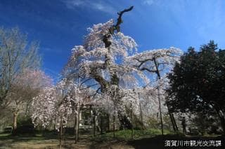 Goshin-ji Temple
