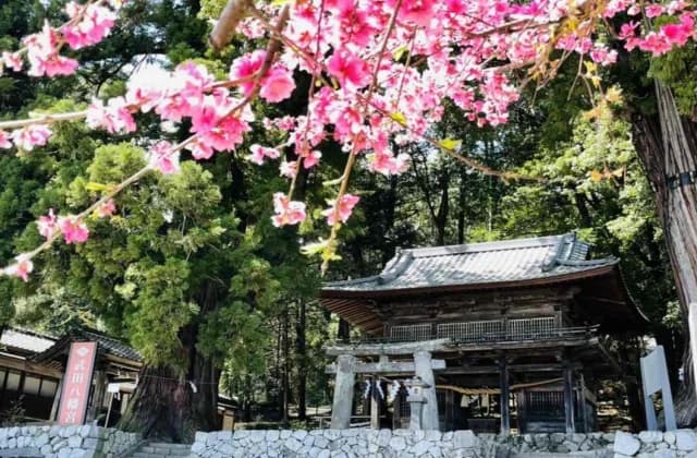 Takeda Hachimangu Shrine