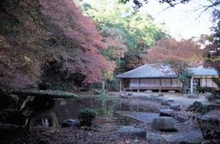 Daisho-in Temple