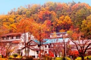 Nakaoyama Onsen Shosenkaku