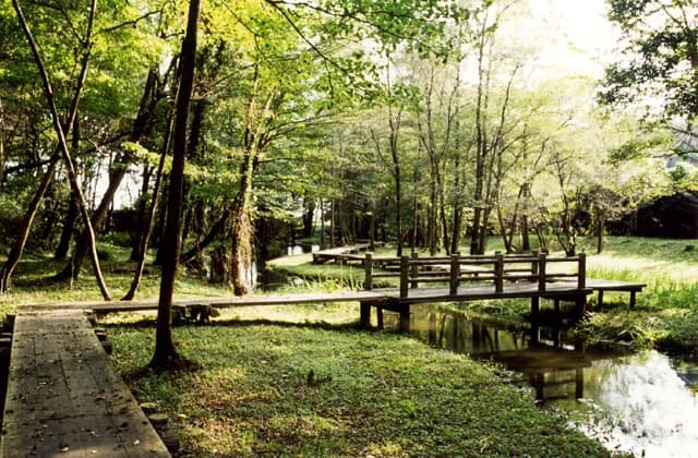 Isokawa Ryokuchi Park
