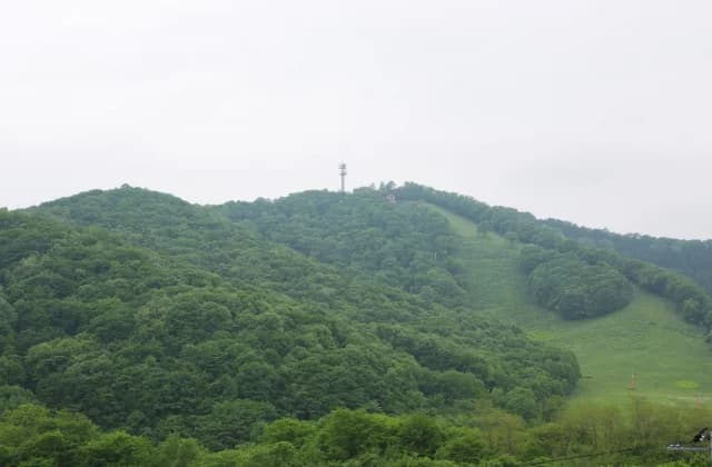 Mt.