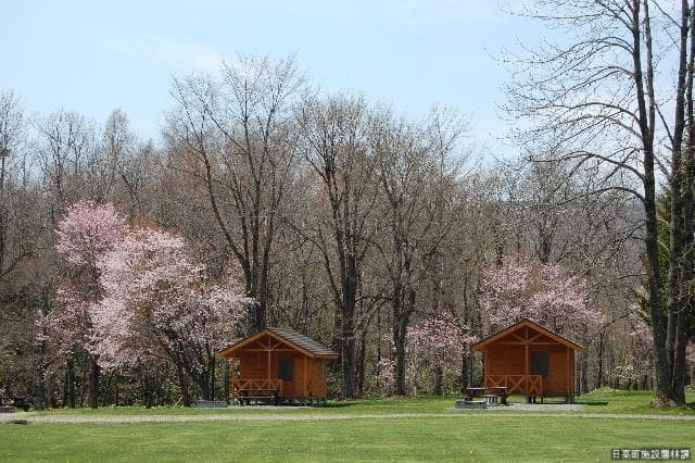 沙流川オートキャンプ場
