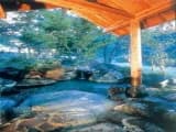 天然石や木々が美しく配置された日本庭園の野天風呂。