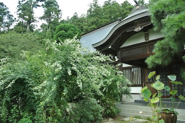 Daigagan-ji Temple
