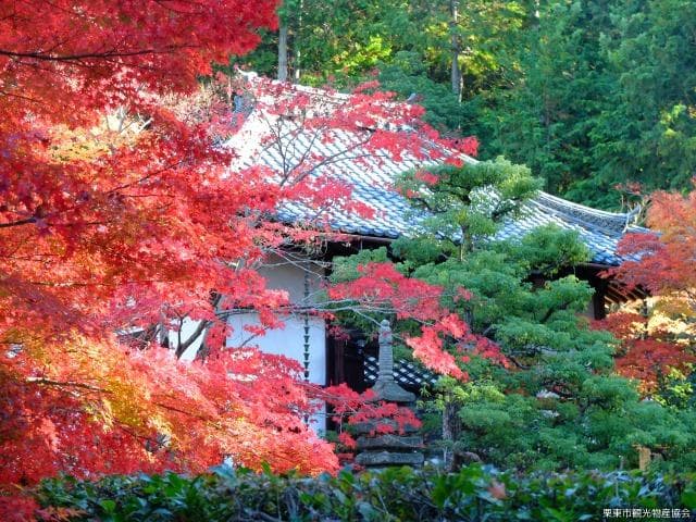 Anyo-ji Temple Autumn Leaves