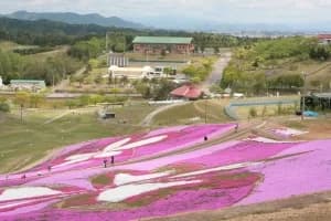 大森リゾート村