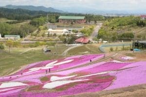 大森リゾート村