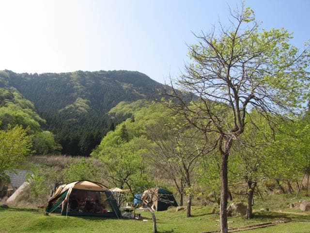 Campsite