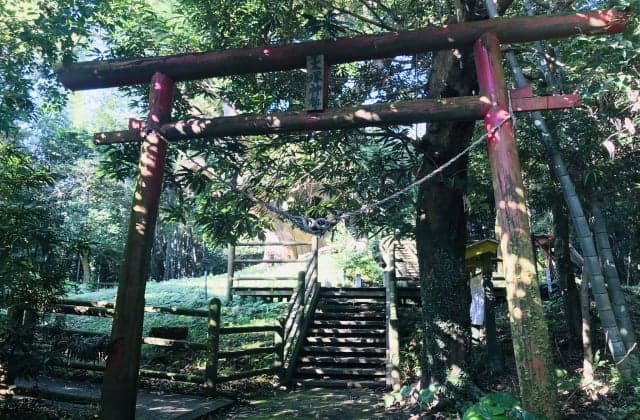 Tsukazaki's Great Cox