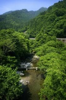 Madate River, a clear stream that flows right next to the forest of fog