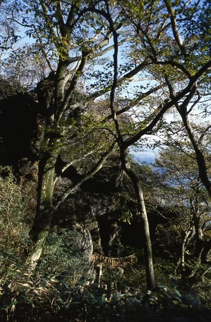 Standing stone